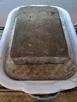 zatizena podmiska microgreens